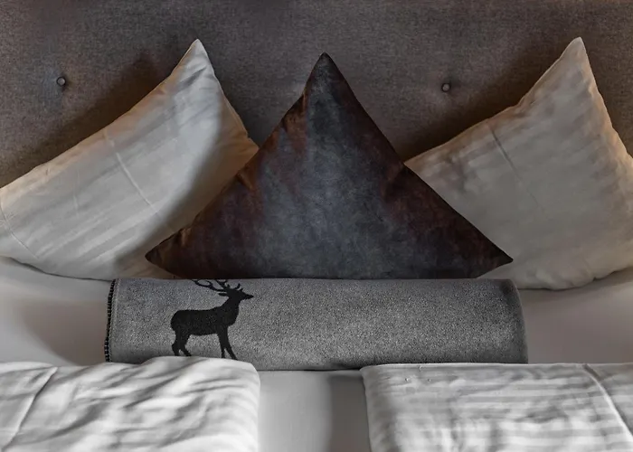 安彭帕克斯奥塔西黑根酒店 4*