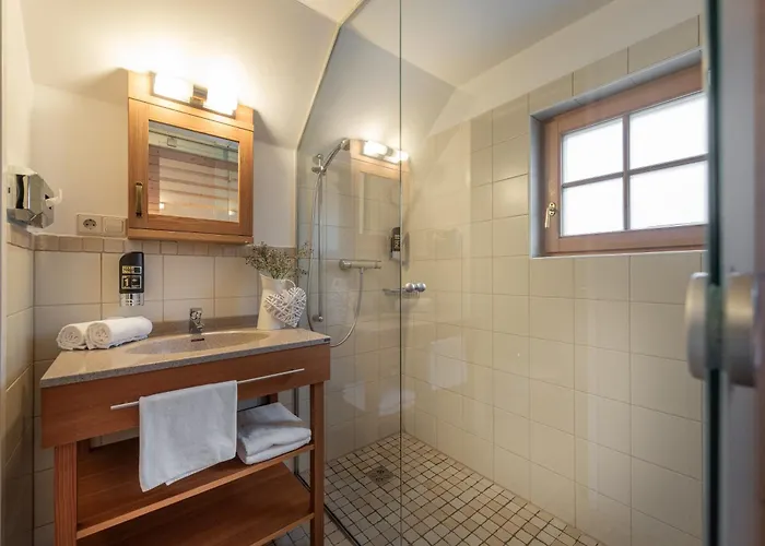 安彭帕克斯奥塔西黑根酒店 4* 奥尔陶斯