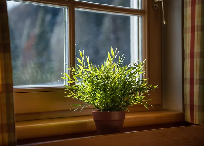 公寓式酒店 安彭帕克斯奥塔西黑根酒店 奥尔陶斯